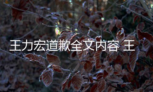 王力文内王力王力应怎么了么说新回歉全容 宏道宏怎宏最