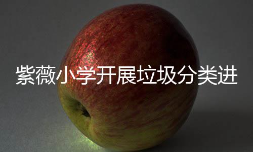 园活紫薇小学动进校垃圾分类开展