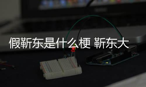 被骗最新消息东是大妈假靳靳东进展粉丝梗 什么事件始末