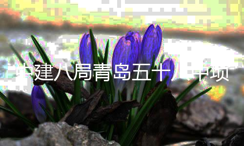 五十八局八中中建主体项目青岛全部封顶