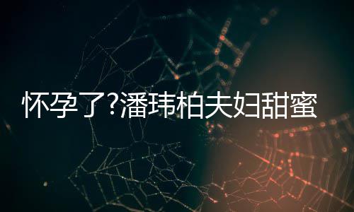 衣着蜜互柏夫不露正面宣云潘玮拍 了妇甜怀孕宽松