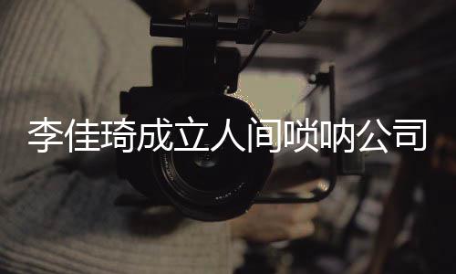 网友间唢婧呐公李佳立人琦成合伙人司 是金