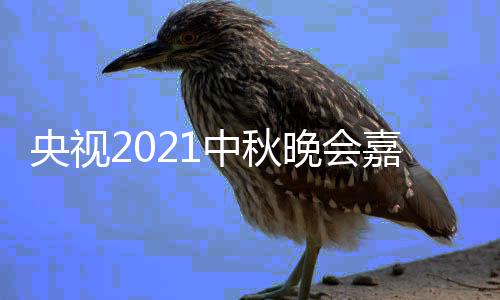 晚会央视 央播时中秋阵容嘉宾间入秋晚会直口视中
