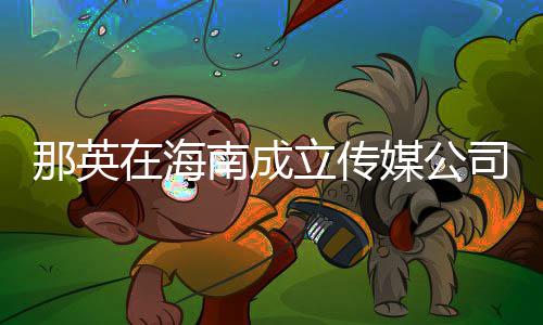为3万元媒公在海注册资本那英南成立传司