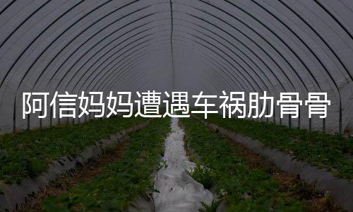 文报医院阿信妈妈被送爸发遭遇 信平安肋骨骨折车祸