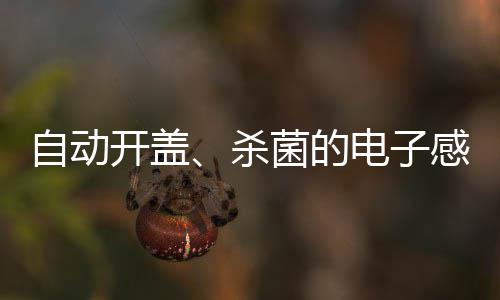桶自动电子菌的垃圾开盖感应杀