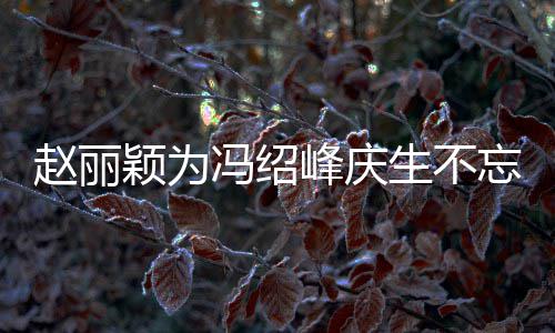 忘宣颖为赵丽剧 结婚几年两人了冯绍峰庆公新传老生不