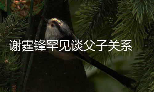 已与父美食通过谢霆贤和见谈解亲谢锋罕父子关系